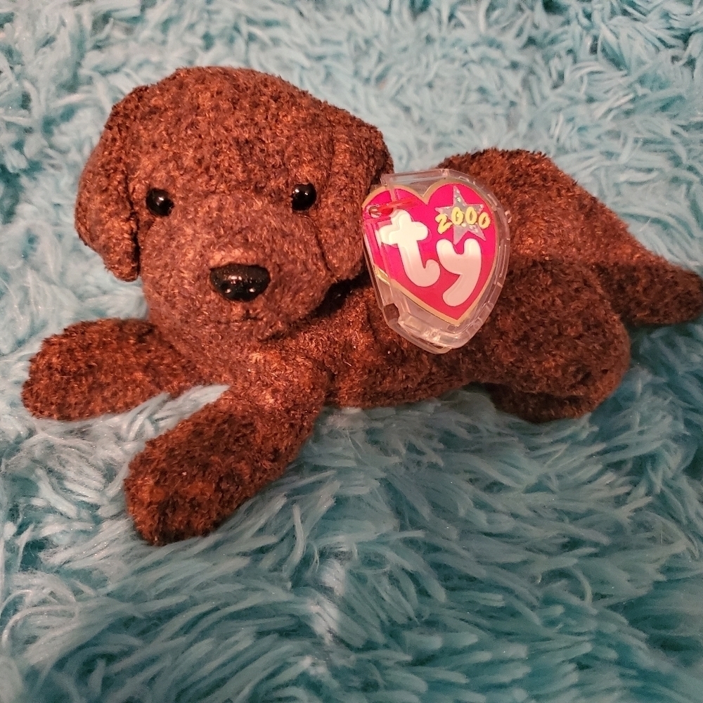 𝅺ty Beanie Baby "Fetcher" the Dog Plush
